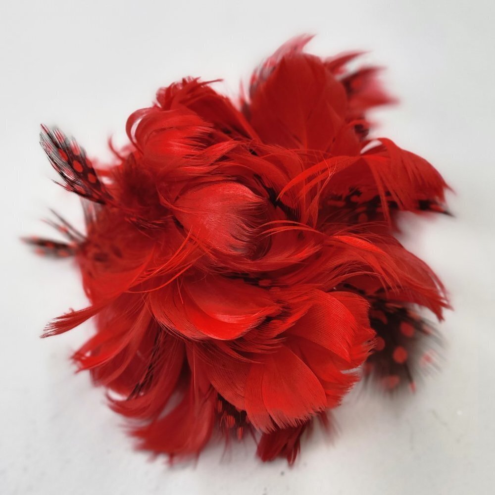 Girls Kids Teens Small Round Red Feathers Hair Accessory or Red Feathers Corsage